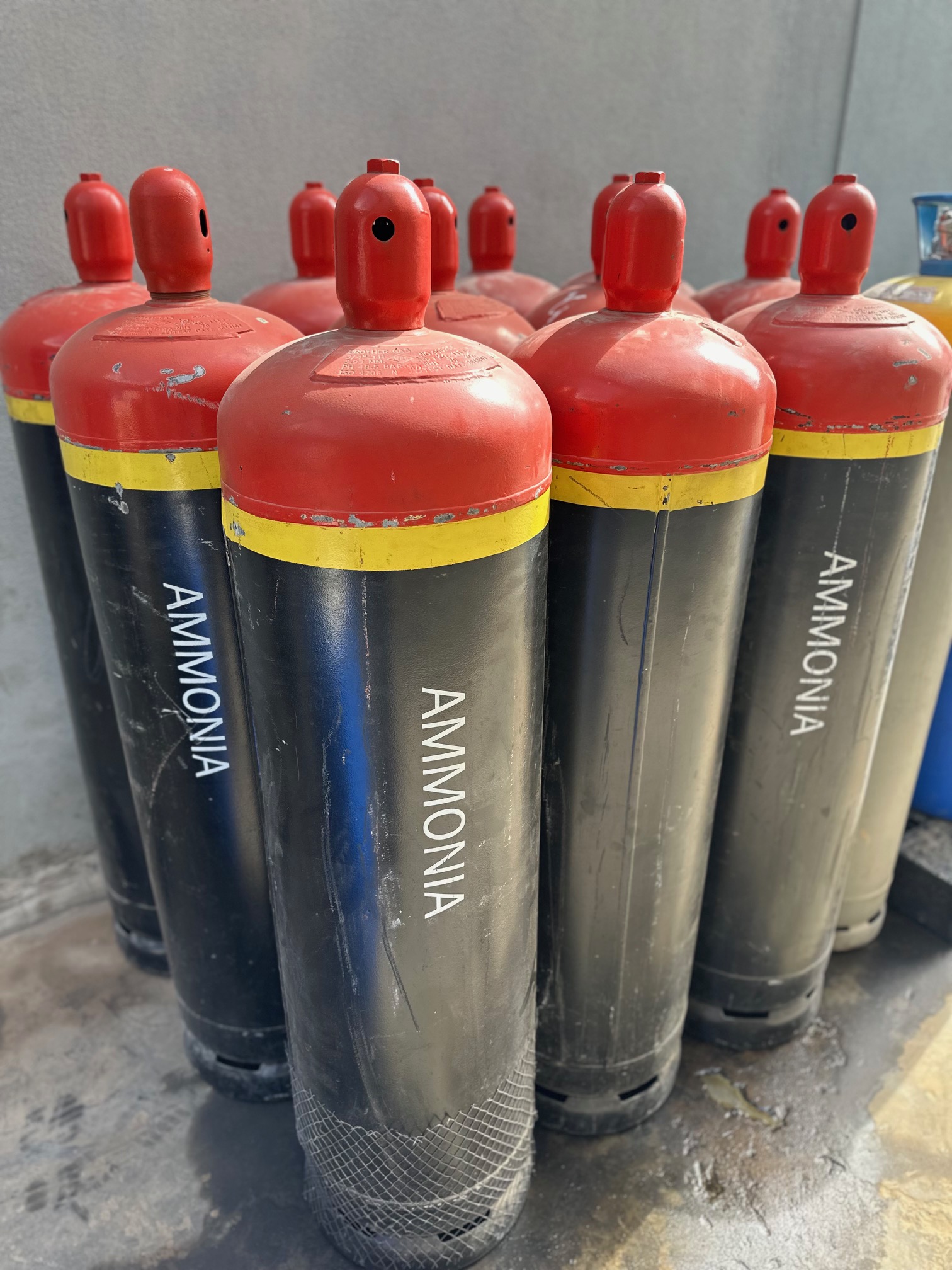 NH₃ ammonia cylinders